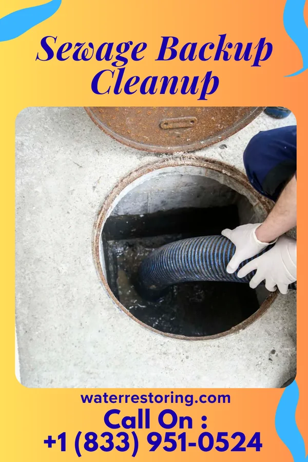 Sewage Backup Cleanup in Cinco Bayou, FL